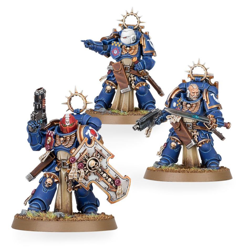 Warhammer 40K Space Marines Bladeguard Veterans with power swords, storm shields, and detailed Ultramarines armor.