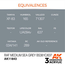 AK Air RAF Medium Sea Grey BS381C/637 showing precise color equivalences for Tamiya, Humbrol, Vallejo, and Lifecolor paints.