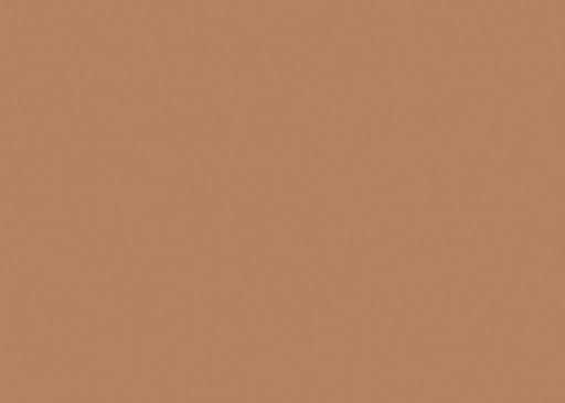 Medea NuWorlds Colors Olive Flesh