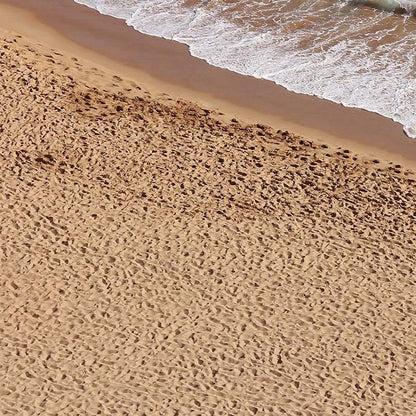 AK Interactive Terarins Special Beach Sand