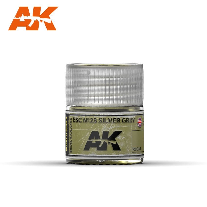  AK Real Colors BSC No28 Silver Grey
