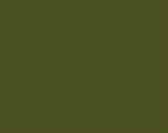  AK Real Colors Olivgrun - Olive Green RAL6003 10ml