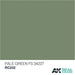 AK Interactive Real Colors Pale Green FS 34227