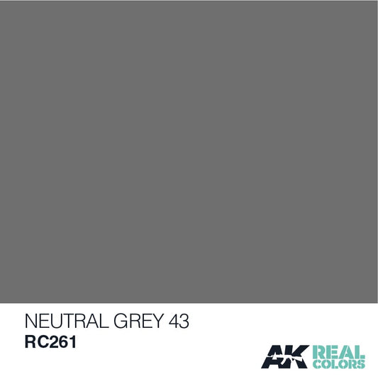 AK Real Colors Neutral Grey 43