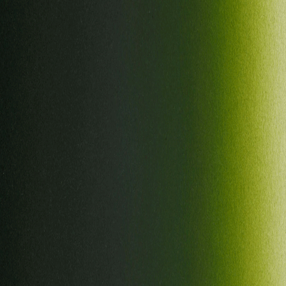 Createx Illustration Moss Green  Color Chip