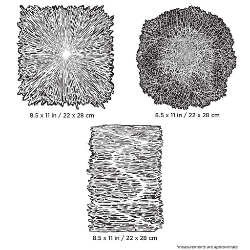 Texture FX2