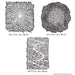 Texture FX2