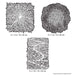 Texture FX3