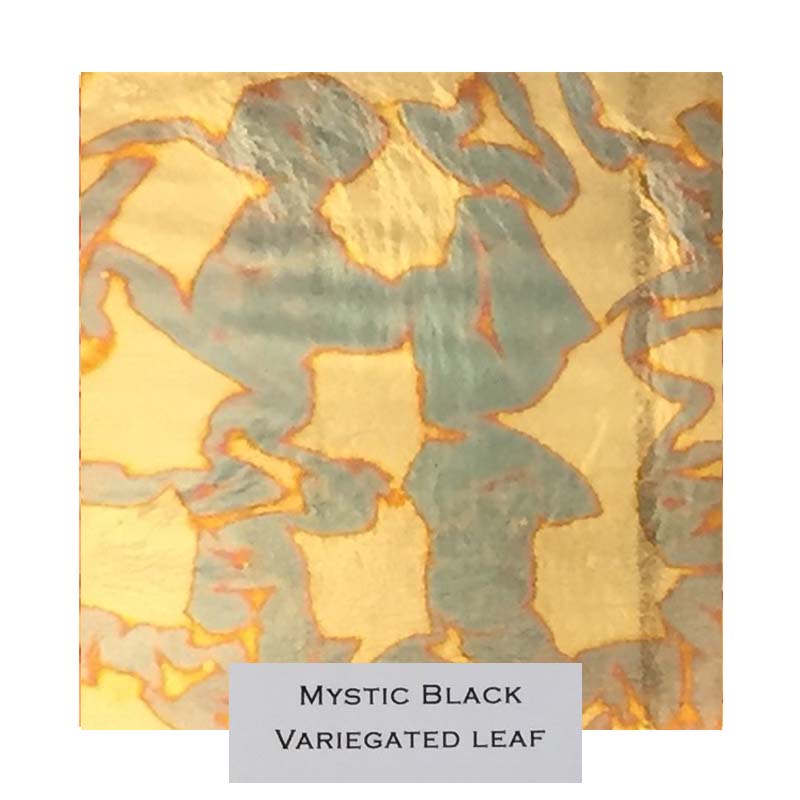Variegated Gold Leaf Mystic Black